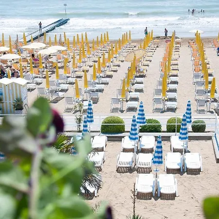 Hotel Conchiglia 3*